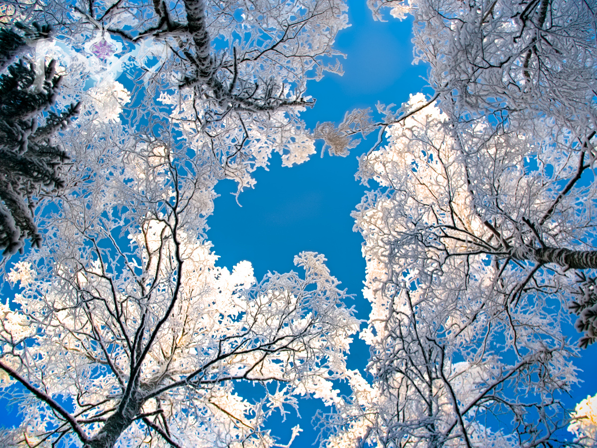 Kuva kuukaudessa Jäätimantteja