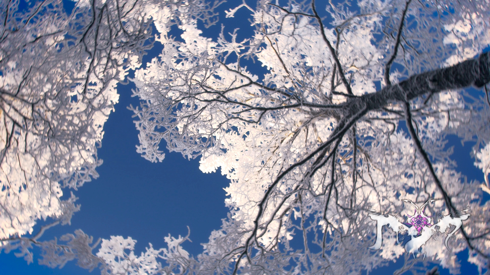 Jäätimantteja viteo